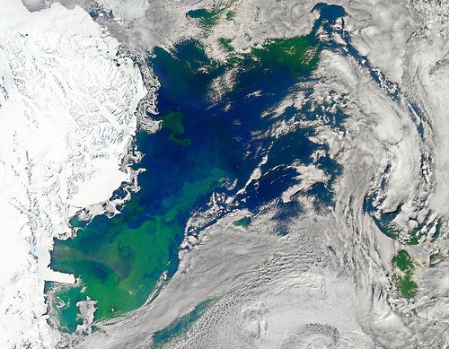 Bloom in the Southern Ocean is affected by iron fertilisation
